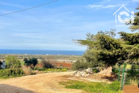 IMG-20250304-WA0012