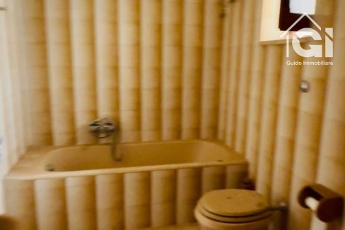 IMG-20250801-WA0015