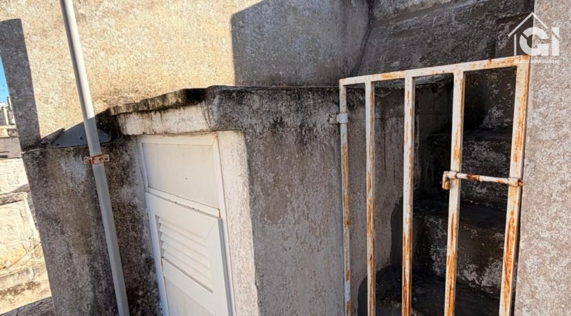 WhatsApp Image 2026-01-28 at 11.17.38 (12)