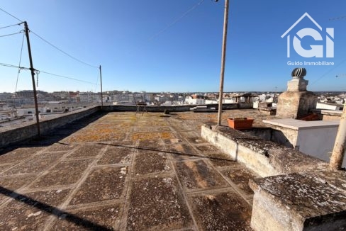 WhatsApp Image 2026-01-28 at 11.17.38 (13)