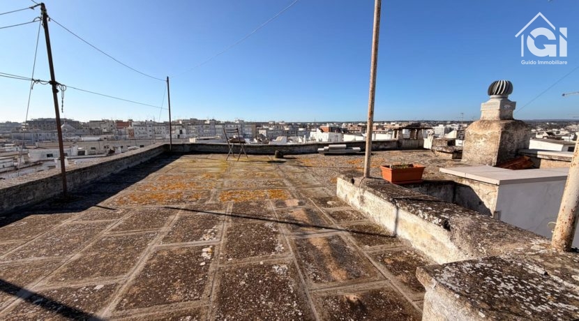 WhatsApp Image 2026-01-28 at 11.17.38 (13)