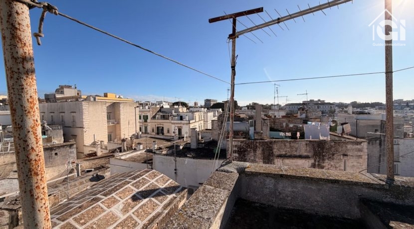 WhatsApp Image 2026-01-28 at 11.17.38 (18)