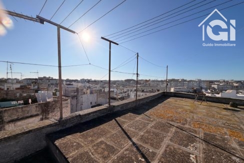 WhatsApp Image 2026-01-28 at 11.17.38 (19)