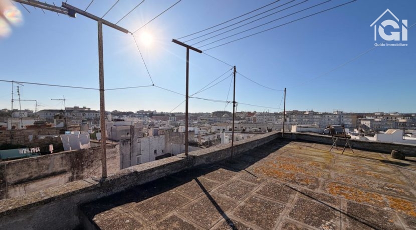 WhatsApp Image 2026-01-28 at 11.17.38 (19)