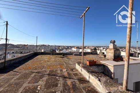 WhatsApp Image 2026-01-28 at 11.17.38 (20)