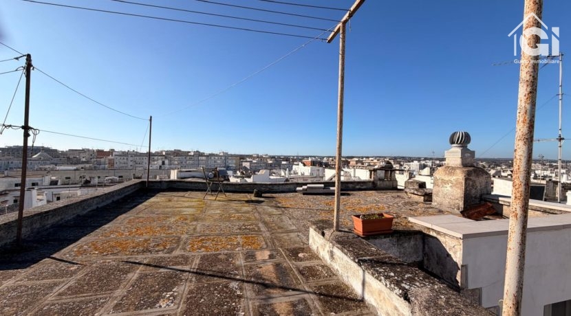 WhatsApp Image 2026-01-28 at 11.17.38 (20)