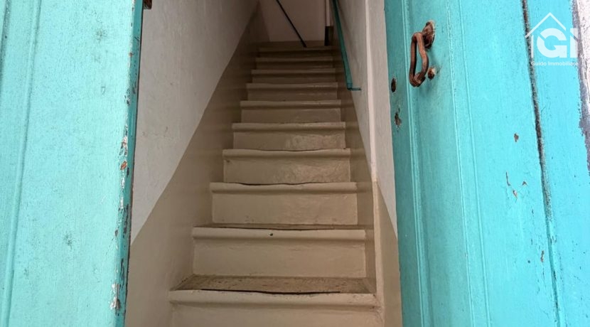 WhatsApp Image 2026-01-28 at 11.17.38 (25)