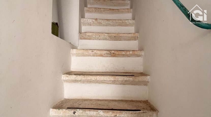 WhatsApp Image 2026-01-28 at 11.17.38 (4)