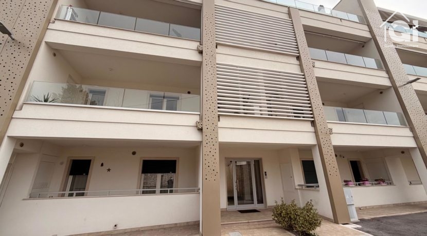 WhatsApp Image 2026-01-29 at 19.14.26