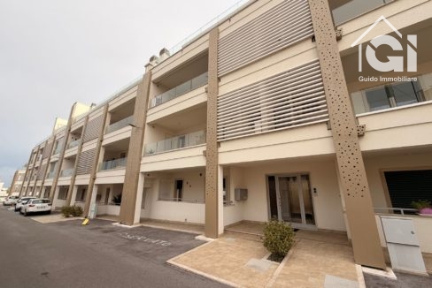 WhatsApp Image 2026-01-29 at 19.15.55 (1)