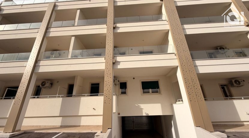 WhatsApp Image 2026-01-29 at 19.15.55