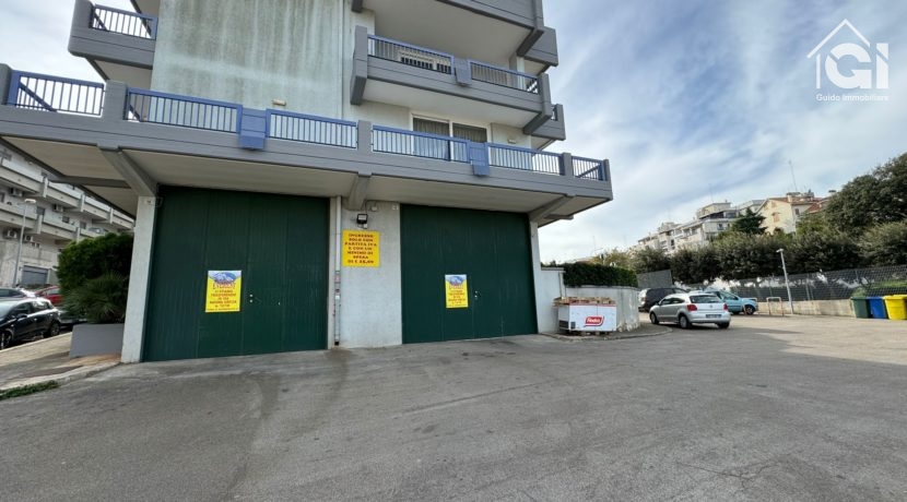 WhatsApp Image 2024-11-22 at 20.22.10