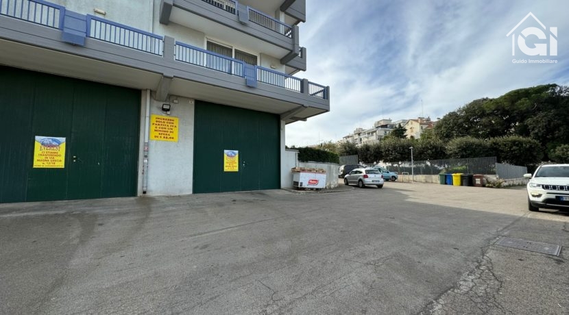 WhatsApp Image 2024-11-22 at 20.22.12