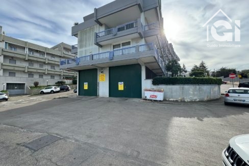 WhatsApp Image 2024-11-22 at 20.22.13 (1)