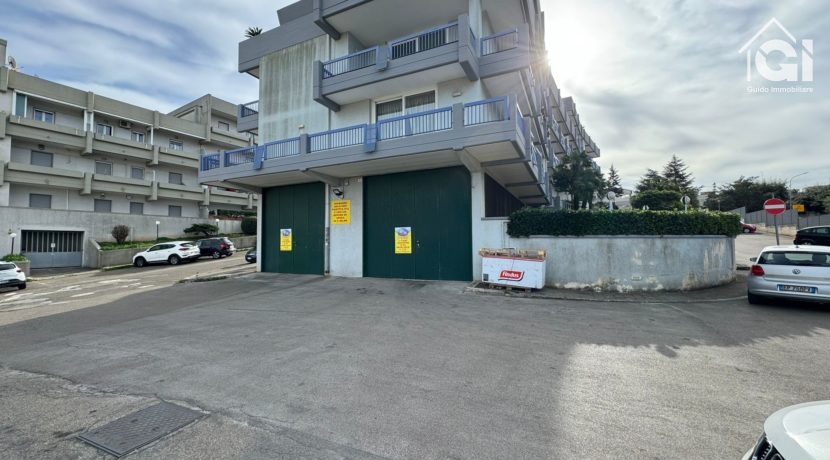 WhatsApp Image 2024-11-22 at 20.22.13 (1)