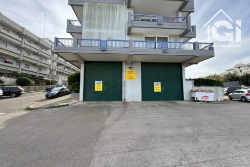 WhatsApp Image 2024-11-22 at 20.22.13