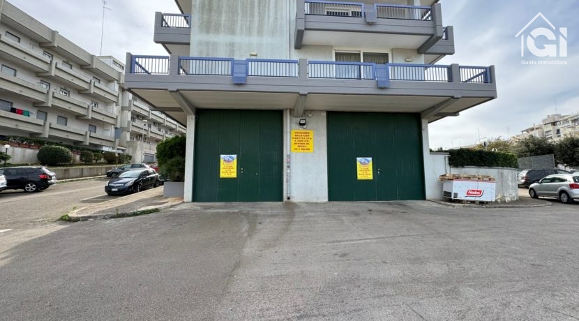 WhatsApp Image 2024-11-22 at 20.22.13