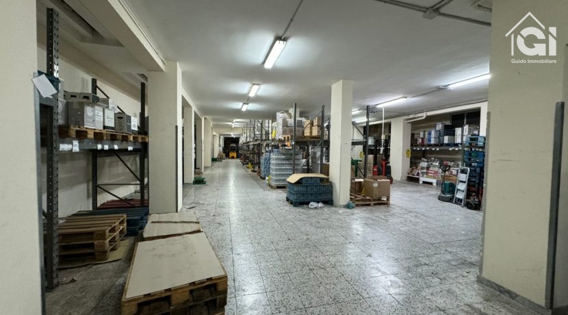 WhatsApp Image 2024-11-22 at 20.22.18