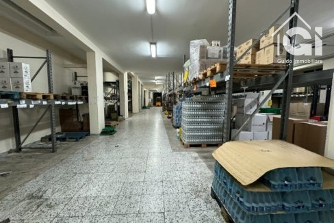 WhatsApp Image 2024-11-22 at 20.22.19