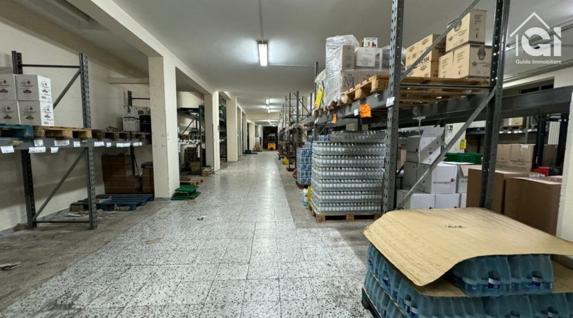 WhatsApp Image 2024-11-22 at 20.22.19