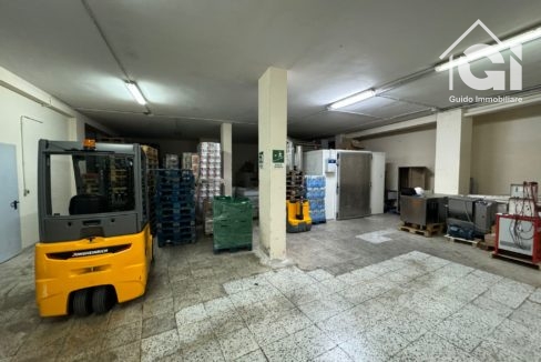 WhatsApp Image 2024-11-22 at 20.22.20 (1)