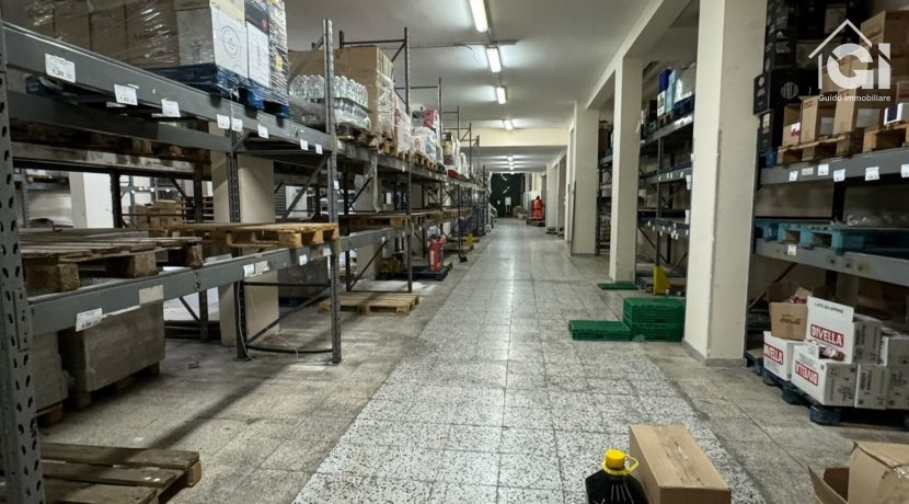 WhatsApp Image 2024-11-22 at 20.22.20