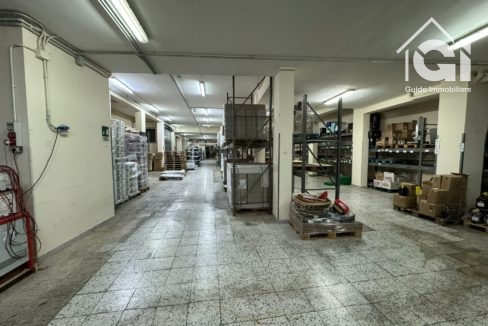 WhatsApp Image 2024-11-22 at 20.22.21 (1)