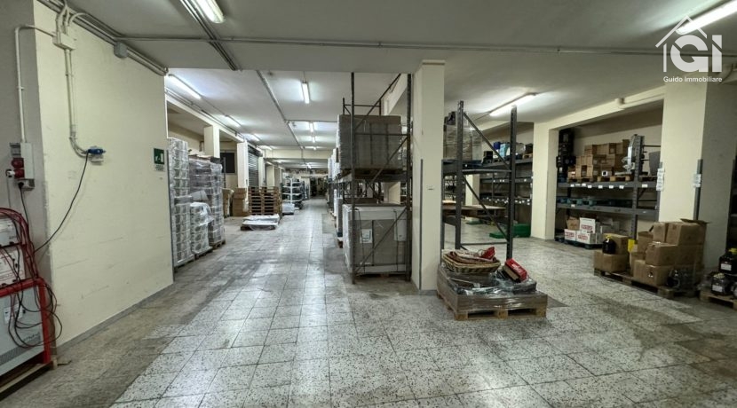 WhatsApp Image 2024-11-22 at 20.22.21 (1)