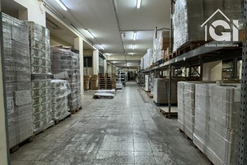 WhatsApp Image 2024-11-22 at 20.22.21