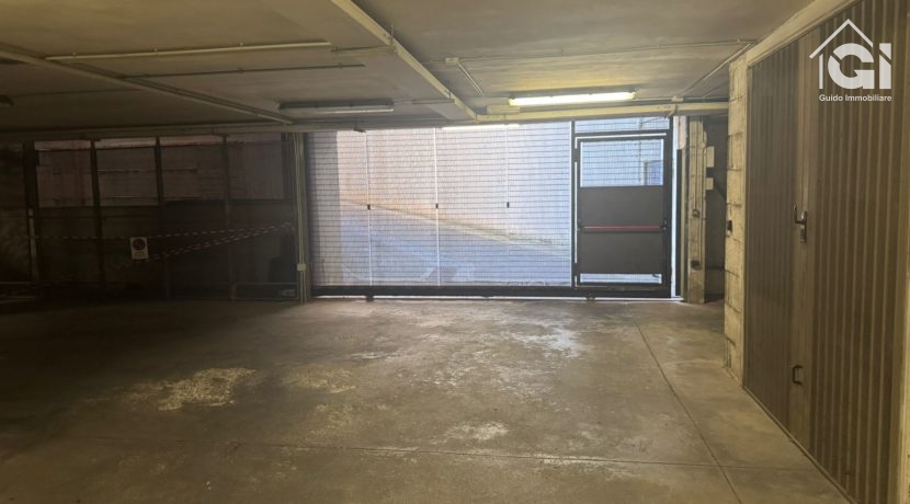 WhatsApp Image 2025-09-26 at 19.37.55