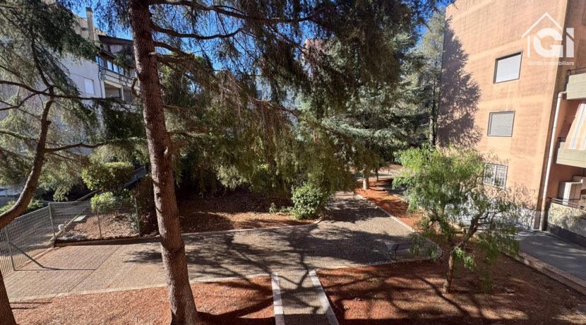 WhatsApp Image 2025-09-26 at 19.37.59 (1)