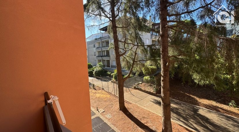 WhatsApp Image 2025-09-26 at 19.37.59