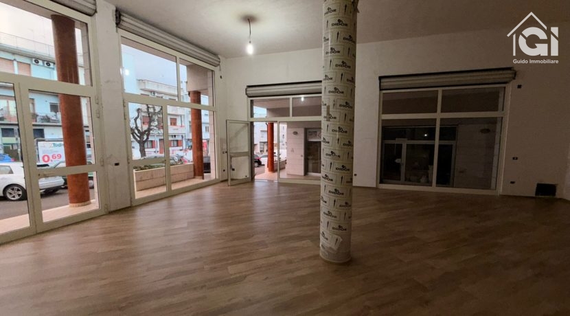 WhatsApp Image 2026-02-17 at 10.20.25