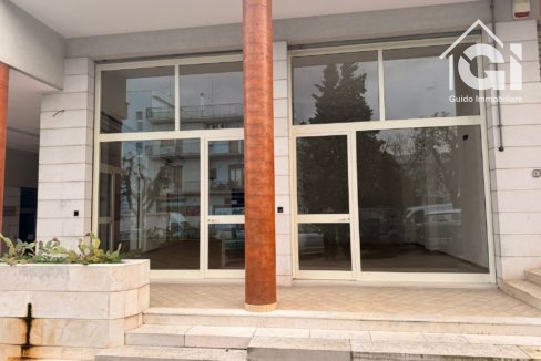 WhatsApp Image 2026-02-17 at 10.20.27 (1)