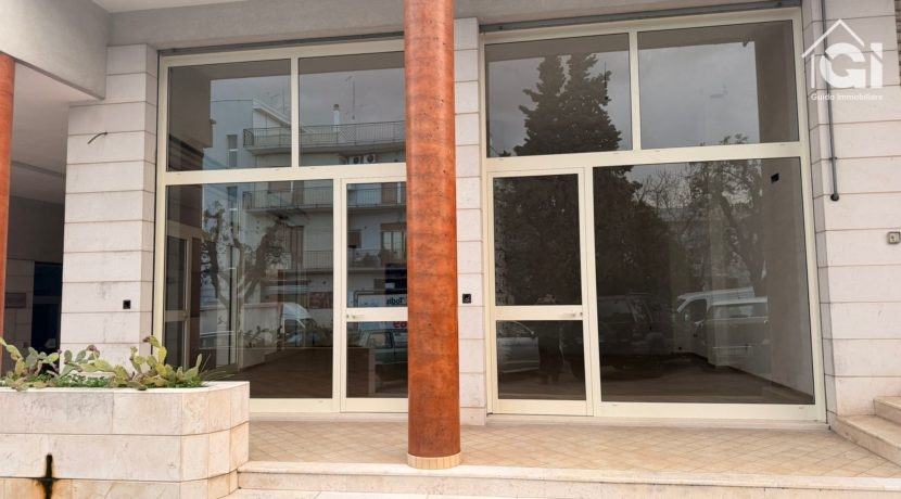 WhatsApp Image 2026-02-17 at 10.20.27 (1)