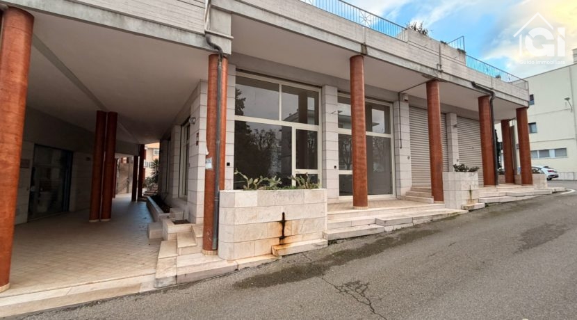 WhatsApp Image 2026-02-17 at 10.20.27