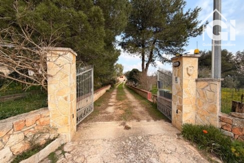ingresso proprietà 2
