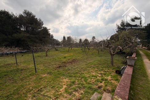 terreno