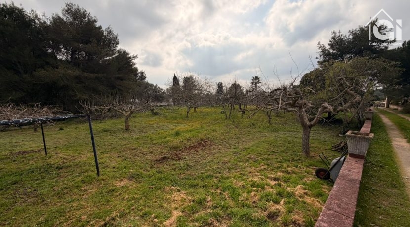 terreno
