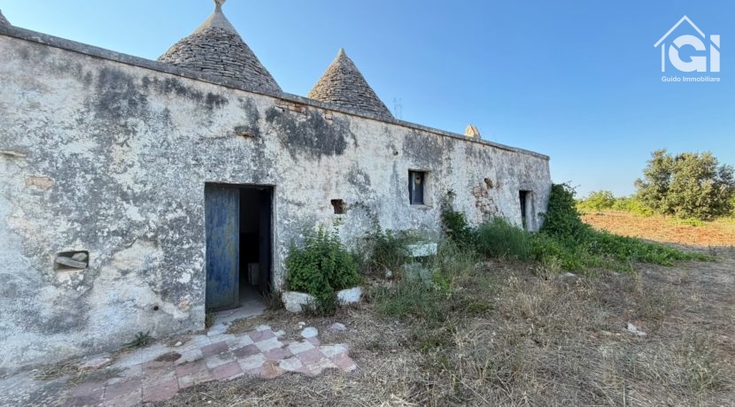 WhatsApp Image 2026-08-11 at 11.46.14 (5)