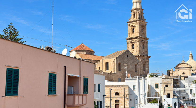 Vista immobiliare luminosa con cattedrale-10